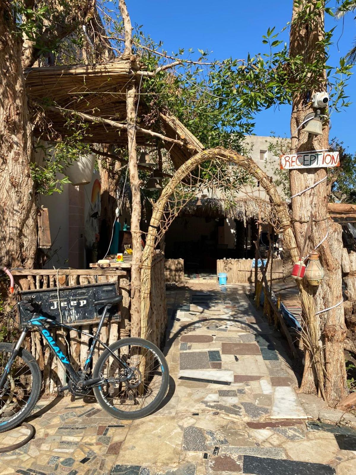 Sunrise Dahab Lodge Exterior photo